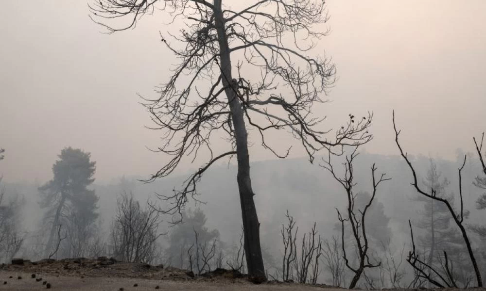 Κλιματική Αλλαγή: Καμπανάκι Moody’s για τις επιπτώσεις από τις φωτιές στην Ελλάδα